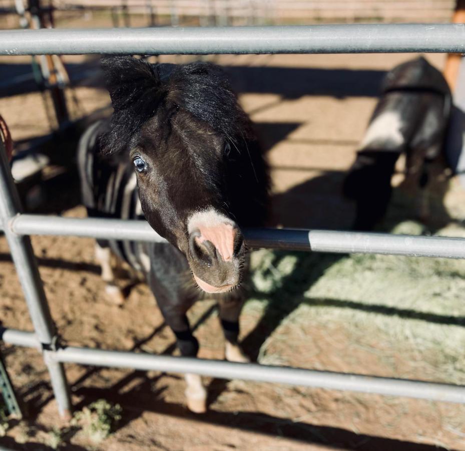 Rustic Farm Stay Temecula Exteriör bild